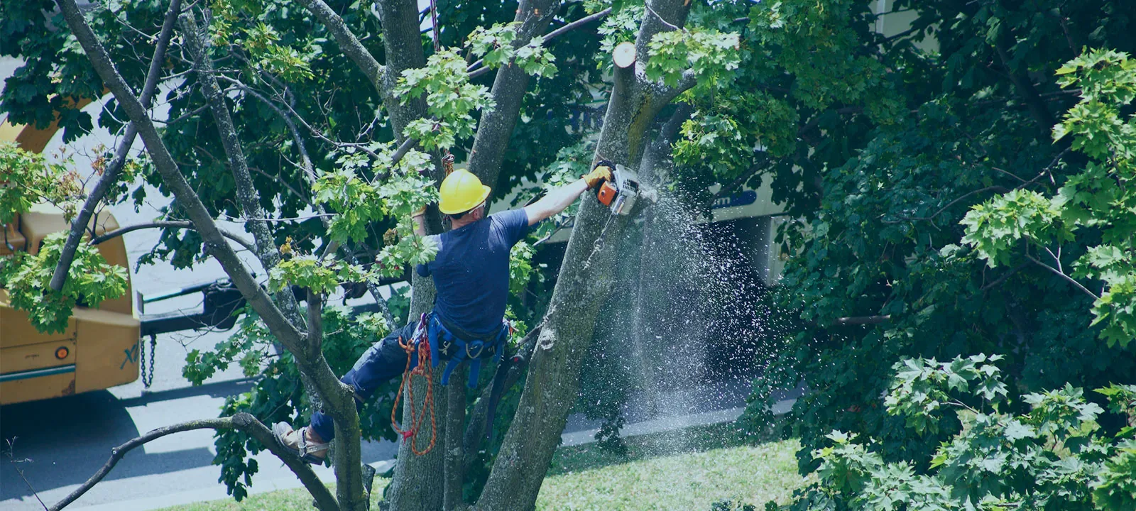 No Job Is Too Big Or Too Small For Us